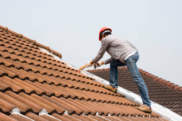 Best Slate Roofing  in Lakewood Clu, MI