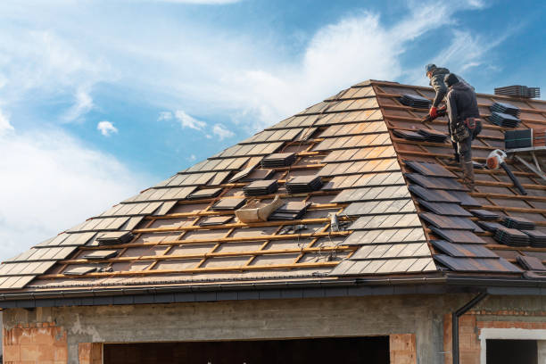 Best Roof Installation  in Lakewood Clu, MI