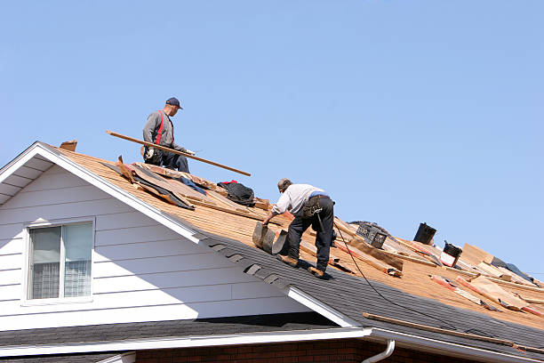 Best Roof Coating and Sealing  in Lakewood Clu, MI